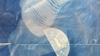 【小学部ワークショップ2026夏ご報告】「青焼き」って何？昔の写真技術を体験しました！